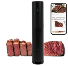 An350-us500 Anova Precision Cooker Mini Lite In Black
