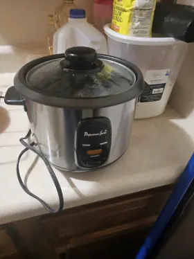 Ps75068 Collezioni A Compact And Efficient Rice / Slow Cooker With User Manuel