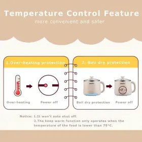 Dezin 715802988356 Electric Pot 1.6l Ramen Cooker Hot Stainless Steel Multifu #3