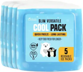 59-abx9-91q4 Healthy Packers Ice Pack For Lunch Box - 5 Packs 5-pack Clear