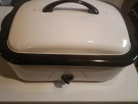 Ro165 Rival 16 Quart Roaster Oven Preowned Ro165 Rival 16 Quart Roaster Oven Preowned