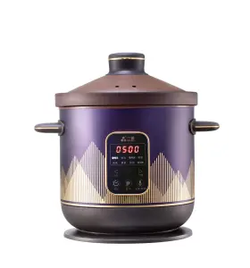 Tgd60-sa30 Sanyuan 6l Electric Stew Cooker With Ceramic Pot 8 Smart Presets And Touch Panel 24h