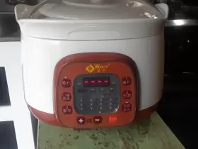 Drtz-40 Wanyu Dftz-40 Stew Pot Rice Cooker 4 Compartments A9