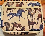 Wildkin Lunch Box Horse Style Reusable. Fixed Price $20.00.