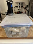 Collapsible Hinged Sous Vide Lid Everie Fits Anova Precision Cooker Container. Fixed Price $14.40.