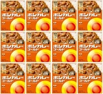 Japan Spicy Curry Sauce Beef Rice Instant Medium Hot Retort Food Bon Otsuka 180G. Fixed Price $18.85.