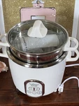 Aroma NRC-687SD Nutriware Digital Rice Cooker And Food Steamer. Fixed Price $89.99.