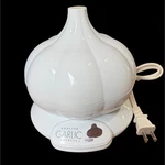 Tagco Roasted Garlic Express Electric Countertop Roaster White Read. Fixed Price $29.99.