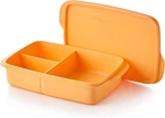 Tupperware Lunch-it Portion & Go Box Dishwasher Safe Bpa Orange. Fixed Price $32.22.